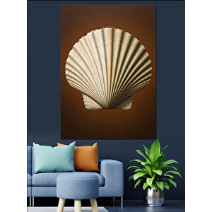Deniz Kabuğu Sanatsal Çizim Dekoratif Kanvas - Mdf Ahşap Tablo 50x70 cm
