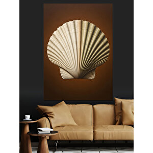 Deniz Kabuğu Sanatsal Çizim Dekoratif Kanvas - Mdf Ahşap Tablo 50x70 cm