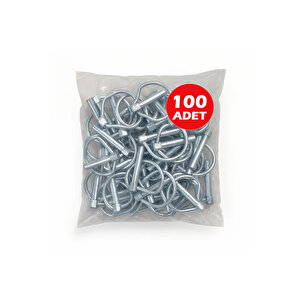6mm Yaylı Pim 100 Adet