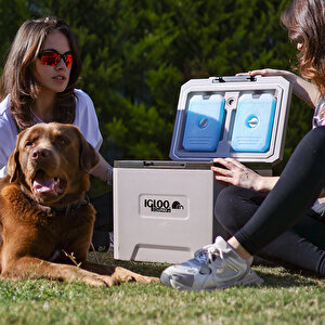 Coremax 22 Buzluk 22 Litre