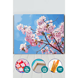 Sakura Ağacı Ve Çiçeği Sayılarla Boyama Seti 35x50 cm