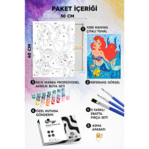Minik Deniz Kızı Sayılarla Boyama Seti 30x40 cm