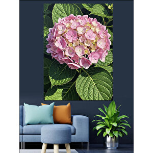 Pembe Ortanca Çiçek Resmi Dekoratif Kanvas - Mdf Ahşap Tablo 50x70 cm