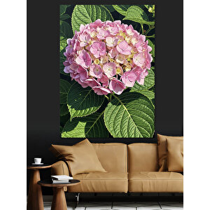 Pembe Ortanca Çiçek Resmi Dekoratif Kanvas - Mdf Ahşap Tablo 50x70 cm