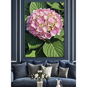 Pembe Ortanca Çiçek Resmi Dekoratif Kanvas - Mdf Ahşap Tablo 50x70 cm