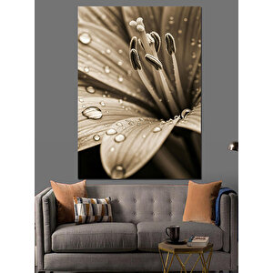 Çiçek Üzerinde Su Damlaları Dekoratif Kanvas - Mdf Ahşap Tablo 70x100 cm