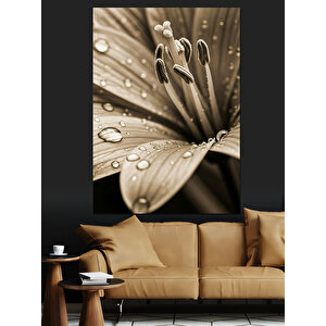 Çiçek Üzerinde Su Damlaları Dekoratif Kanvas - Mdf Ahşap Tablo 70x100 cm