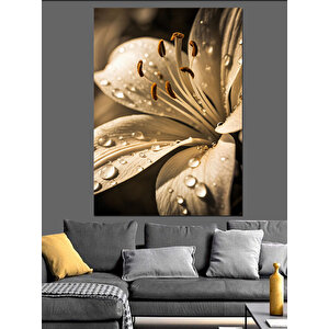 Islak Beyaz Çiçek Detayı Dekoratif Kanvas - Mdf Ahşap Tablo 50x70 cm