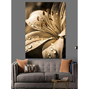 Islak Beyaz Çiçek Detayı Dekoratif Kanvas - Mdf Ahşap Tablo 50x70 cm