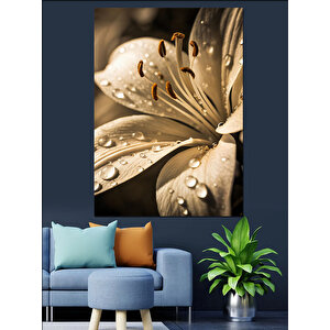 Islak Beyaz Çiçek Detayı Dekoratif Kanvas - Mdf Ahşap Tablo 50x70 cm