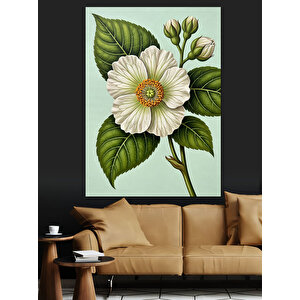 Beyaz Çiçek Bitki Detayı Dekoratif Kanvas - Mdf Ahşap Tablo 25x35 cm