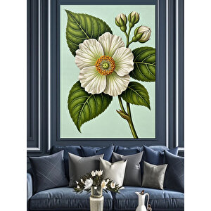 Beyaz Çiçek Bitki Detayı Dekoratif Kanvas - Mdf Ahşap Tablo 25x35 cm