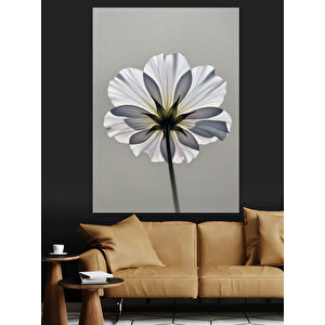 Beyaz Çiçek Yakın Çekim Dekoratif Kanvas - Mdf Ahşap Tablo 100x140 cm