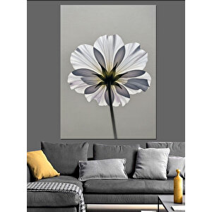 Beyaz Çiçek Yakın Çekim Dekoratif Kanvas - Mdf Ahşap Tablo 100x140 cm