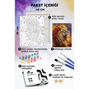 Alemin Aslanı Sayılarla Boyama Seti 40x50 cm