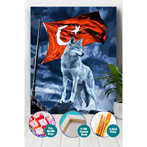 Kurt Ve Hilal Sayılarla Boyama Seti 35x50 cm