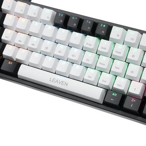 Valkyrie Leaven K620 Blue Switch Mekanik Gaming Oyun Klavyesi Rgb 61 Key Mavi Tuş Type-c Klavye Siyah Beyaz K620