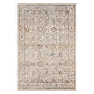 Seyran Asır 256 Krem Modern Vintage Robot Süpürgeye Uygun Salon Oturma Odası Halısı 200x290 cm