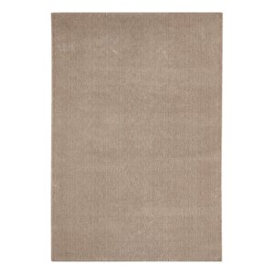 Seyran Bali 4005 Vizon Düz Renk Spor Tozumaz Yumuşak Dokulu Shaggy Halı Salon Oturma Odası Halısı 160x250 cm