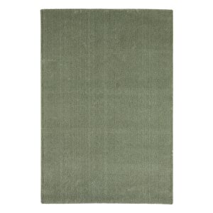 Seyran Bali 4005 Yeşil Düz Renk Spor Tozumaz Yumuşak Dokulu Shaggy Halı Salon Oturma Odası Halısı 120x250 cm