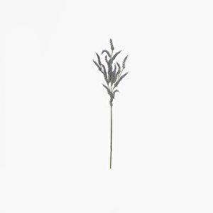 Lavanta Dal 78cm