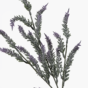 Lavanta Dal 78cm