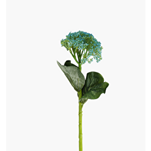 45cm Hedara Dal Yeşil