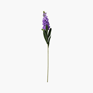 80cm Violet Dal Mor