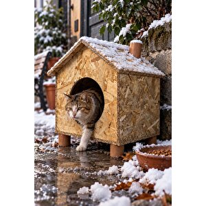 Orta Boy Kedi Evi OSB Su Yalıtımlı Rüzgar ve Soğuğa Dayanıklı Ahşap Kedi Evi, Sokak Hayvanları İçin Kedi Barınağı, Kedi Yuvası 43x40x37 cm CAT14