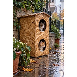 2 Bölmeli Dublex Kedi 66x39x32 cm Yağmura ve Soğuğa Dayanıklı OSB Kedi Kulübesi, Sokak Hayvanları İçin Kedi Yuvası - CAT10