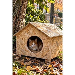 50x50x35 cm Kedi Evi, Dış Ortama, Rüzgar ve Soğuğa Dayanıklı Ahşap Kedi Yuvası, Yavru ve Yetişkin Kediler İçin Barınak OSB CAT17