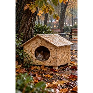 50x50x35 cm Kedi Evi, Dış Ortama, Rüzgar ve Soğuğa Dayanıklı Ahşap Kedi Yuvası, Yavru ve Yetişkin Kediler İçin Barınak OSB CAT17
