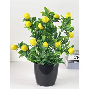 Yapay Çiçek 3 Adet Nar Limon Ve Mandalina Ağacı Siyah Saksıda 30cm