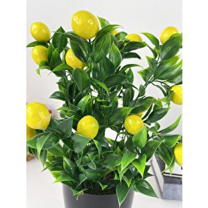 Yapay Çiçek 3 Adet Nar Limon Ve Mandalina Ağacı Siyah Saksıda 30cm