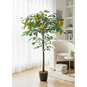 Yapay Limon Ağacı 100cm 12 Limonlu Doğal Görünümlü Siyah Plastik Saksılı Yapay Ağaç