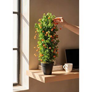 Yapay Çiçek Siyah Saksıda Turuncu Lotuslu Yeşil Şimşir Ağacı 70*30cm