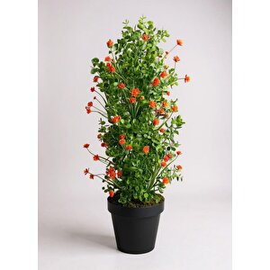 Yapay Çiçek Siyah Saksıda Turuncu Lotuslu Yeşil Şimşir Ağacı 70*30cm