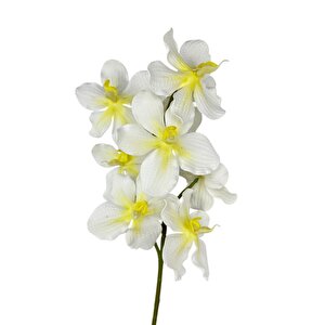 Yapay Çiçek Beyaz Eva Orkide Büyük Boy Gerçeksi Doku Uzun Dal 68cm