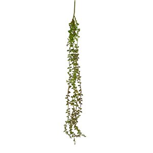 Yapay Çiçek Sarkan Kahverengi Detaylı String Okaliptus Skulent 70cm 5dal