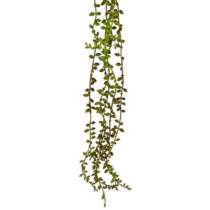 Yapay Çiçek Sarkan Kahverengi Detaylı String Okaliptus Skulent 70cm 5dal