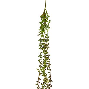 Yapay Çiçek Sarkan Kahverengi Detaylı String Okaliptus Skulent 70cm 5dal