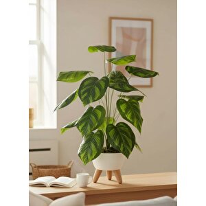 Yapay Çiçek Salon Bitkisi Difenbahya 70cm 18 Yaprak Beyaz Zigon Saksıda