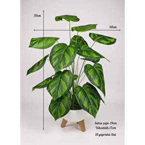 Yapay Çiçek Salon Bitkisi Difenbahya 70cm 18 Yaprak Beyaz Zigon Saksıda