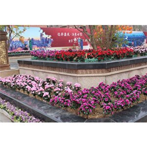 Yapay Çiçek Lila Açık Açelya Demeti 7 Dallı 33*20cm