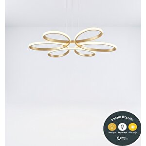 3 Renkli Yonca 6’lı Eskitme Salon Mutfak Çocuk Odası Yemek Masası Ve Antre Için Modern Led