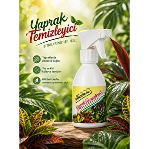 Ozn-tropikal Yaprak Temizleyici Sprey 10 X 250 Ml