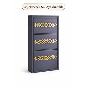 3'lü Antrasi̇t Gold Desenli̇ Metal Ayakkabilik