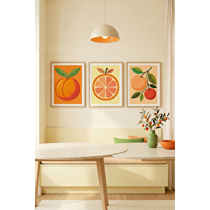 Canlı Portakal Ve Turunçgil Temalı 3’lü Ahşap Çerçeveli Tablo Seti 21x30 cm