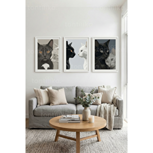 Zarif Siyah Beyaz Kedi Sanatı 3’lü Ahşap Çerçeveli Tablo Seti 50 x 70 cm