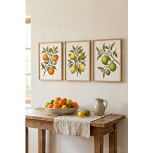 Botanical Narenciye Temalı 3’lü Ahşap Çerçeveli Tablo Seti 30x42 cm